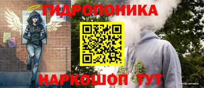 твердый Будённовск